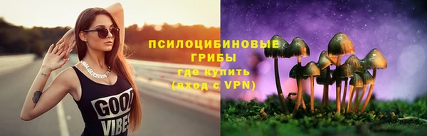 молекула духа Балахна