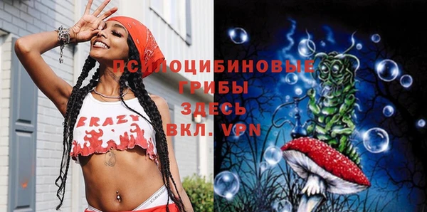 бутират Баксан