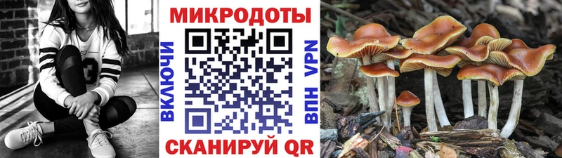 Галлюциногенные грибы GOLDEN TEACHER  что такое   kraken ONION  Лесосибирск 